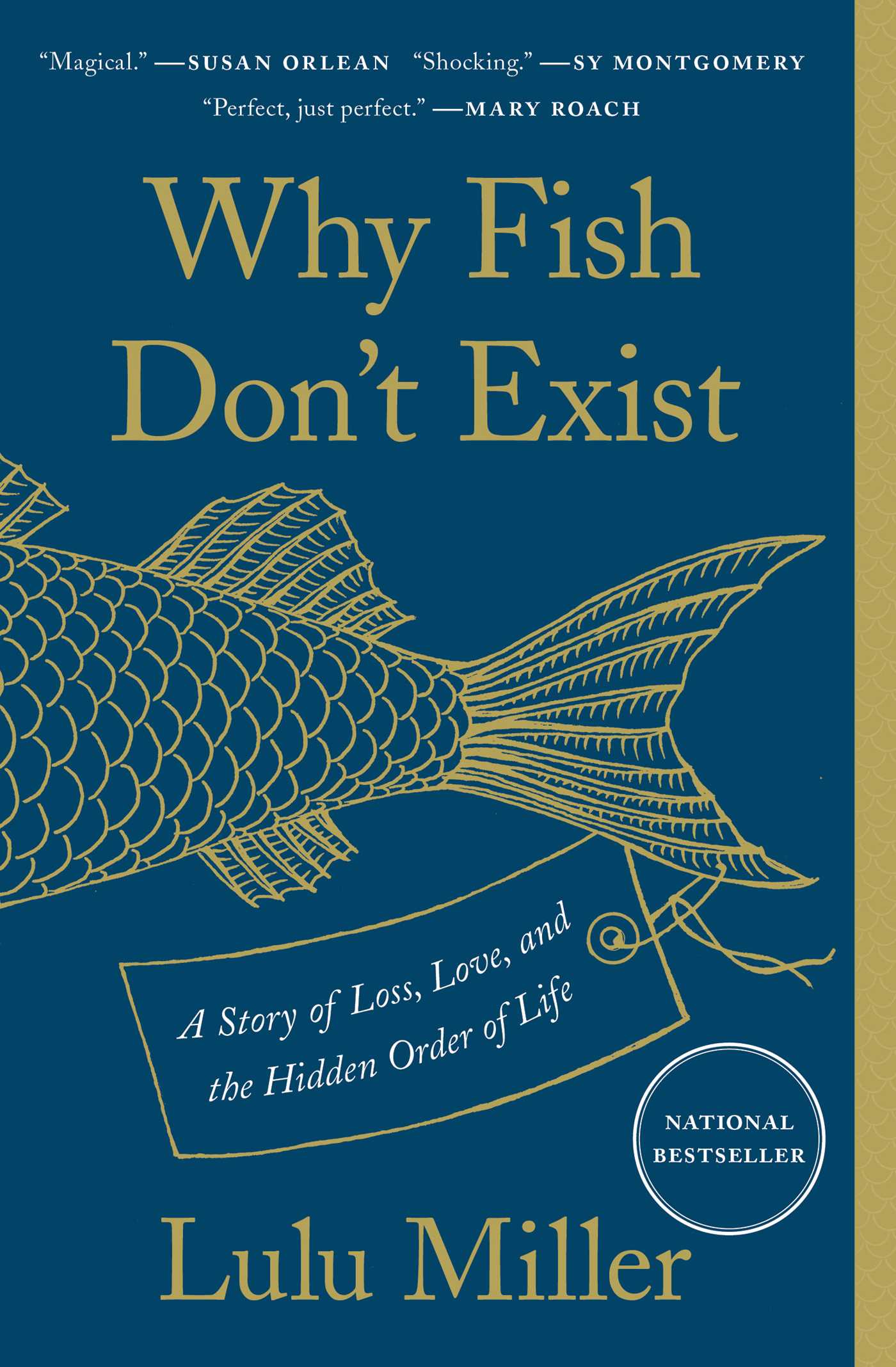 Cover of Why Fish Don't Exist by Lulu Miller